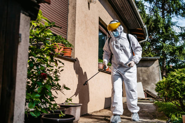 Best Wasp Removal Services  in Bagdad, FL